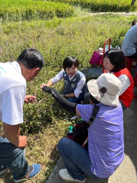 2023嘉義水上仙草柔軟節