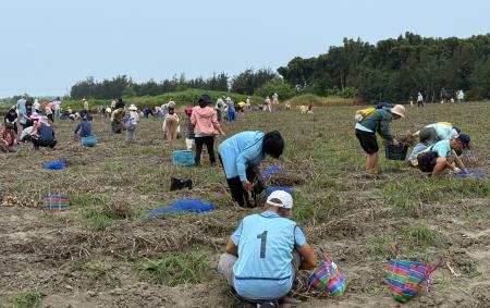 副執行長陳怡帆出席「海風吹、蒜香傳」 2026 四湖海味蒜開採祭7