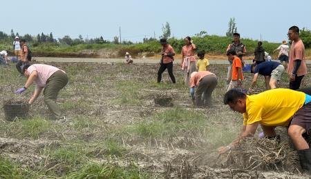副執行長陳怡帆出席「海風吹、蒜香傳」 2026 四湖海味蒜開採祭5