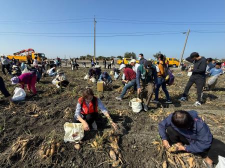 副執行長陳怡帆出席「台電雲林區處盛大舉辦地瓜節活動 採收水林地瓜 與農民香甜迎春」