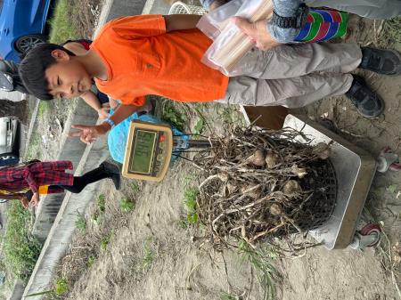 副執行長陳怡帆出席「海風吹、蒜香傳」 2026 四湖海味蒜開採祭8